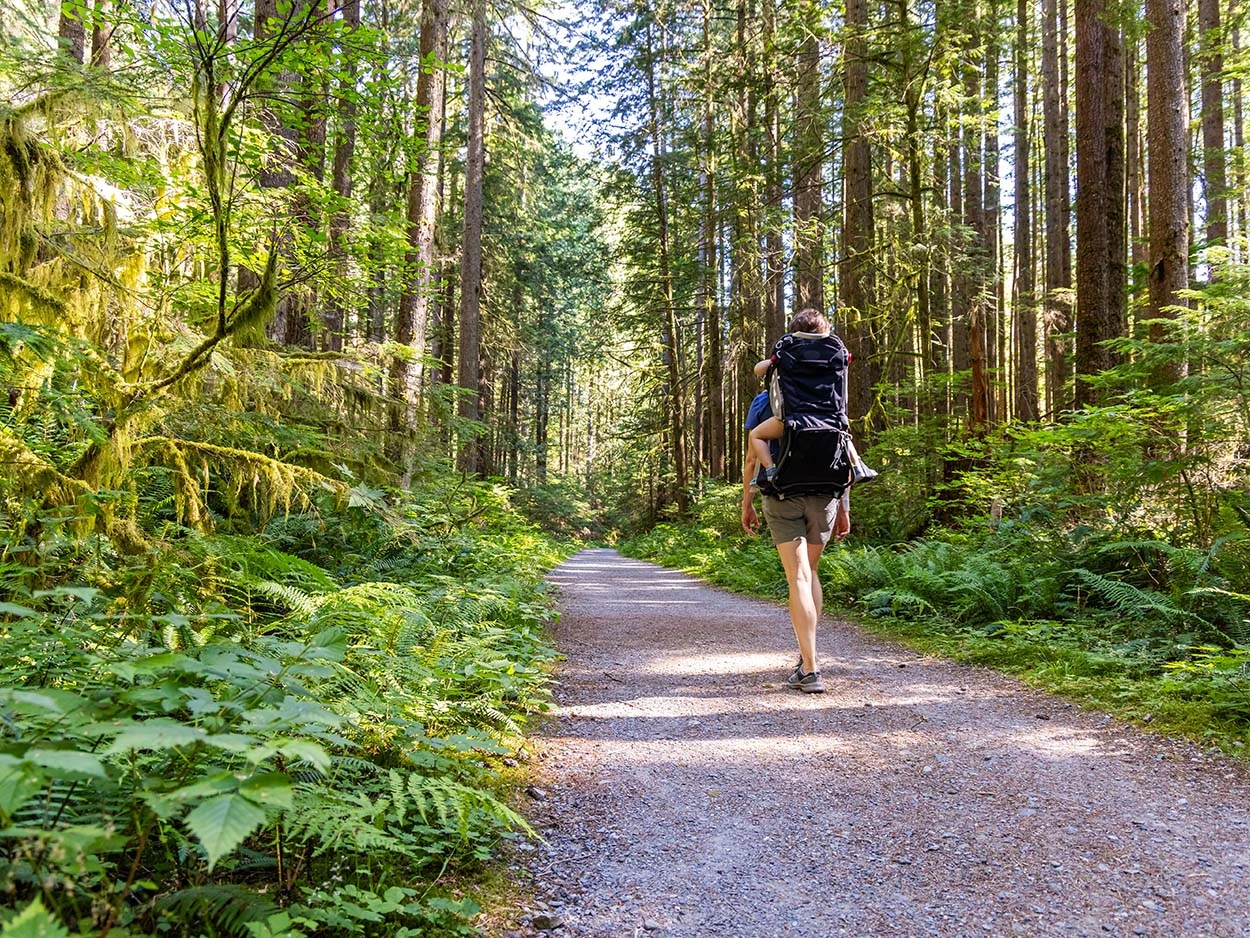 Eine Person wandert mit einem Kind in einer Rückentrage durch den Wald