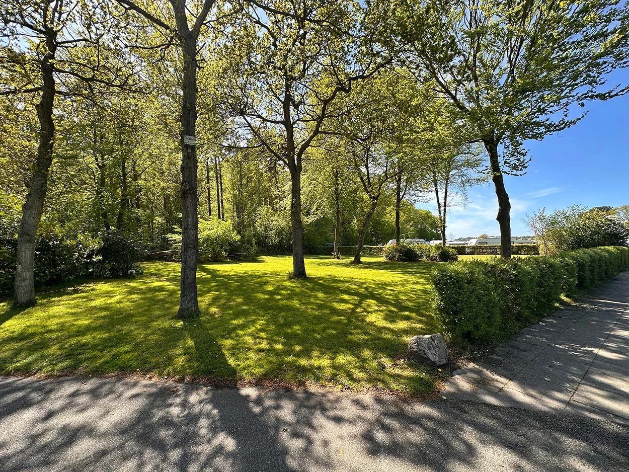 Bebaute Fläche zum Zelten auf dem Campingplatz Galsklint.