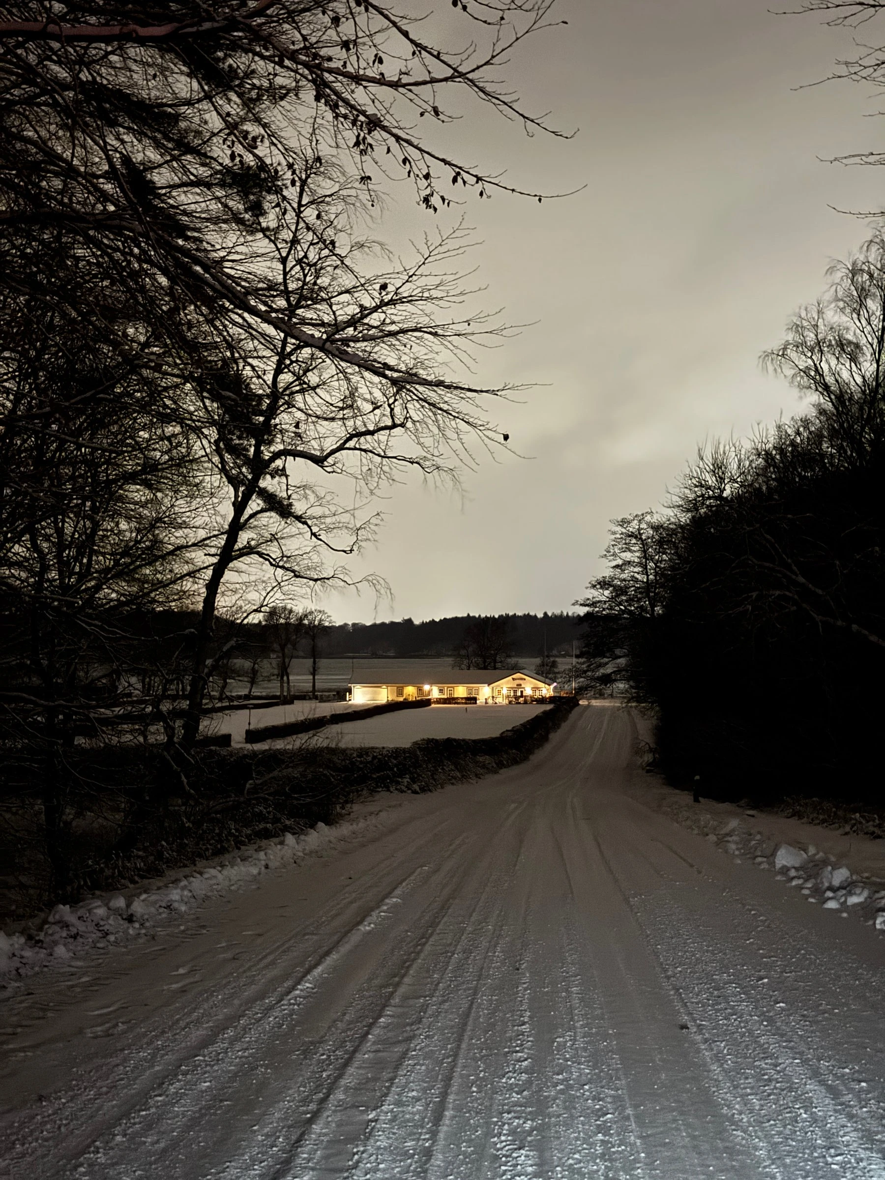 Winterabend am Hindsgavl Dyrehave: verschneite Zufahrt zu noordwind camping galsklint, dahinter der Lillebælt