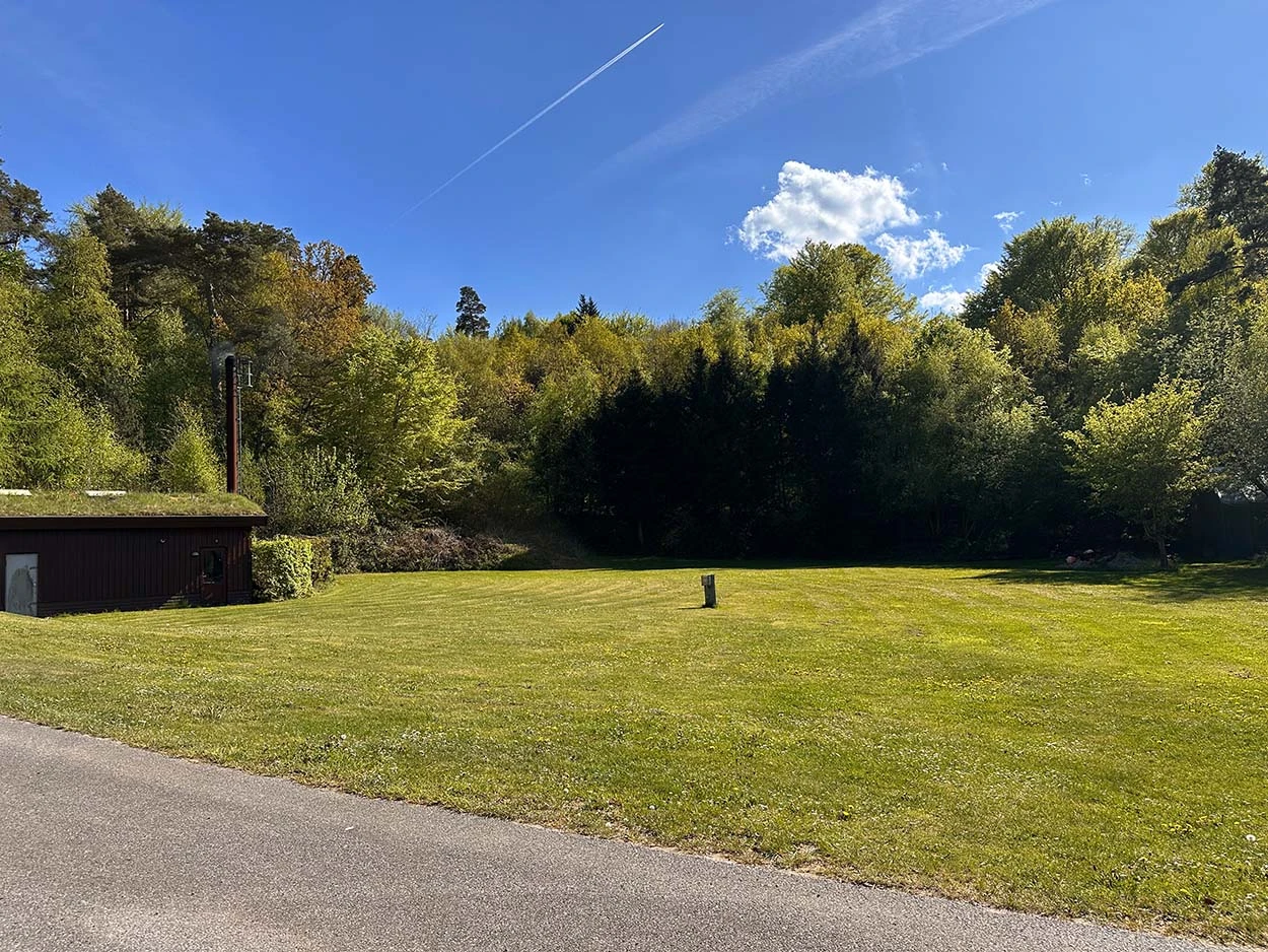Wiesenfläche zum Zelten auf dem Campingplatz Galsklint mit Wald im Hintergrund.